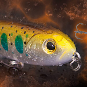 Minnow lipless Rapture DEXTER sinking variable mm. 75 gr 28